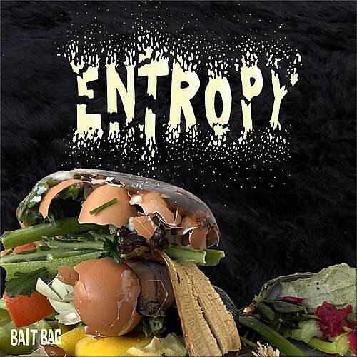 Entropy