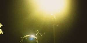 i don't need a therapist