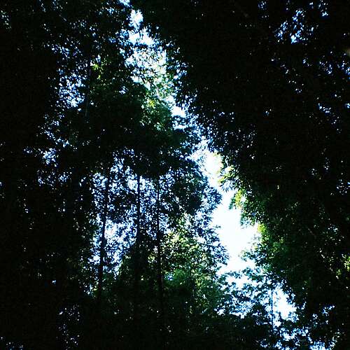 Summer Spent / Tried Living