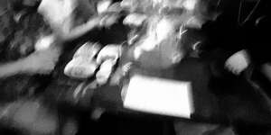 Live from Rad Apples