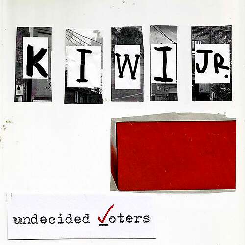 Undecided Voters