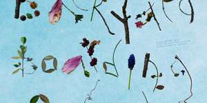 Backyard Boarding School