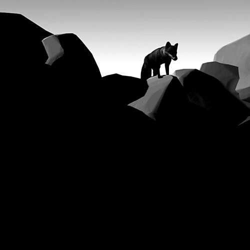 Here Where the Light Falls