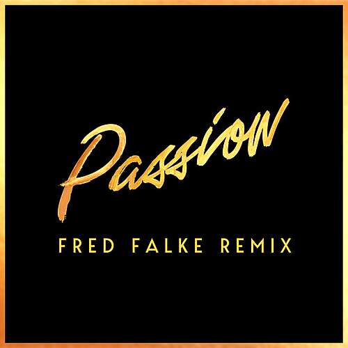 Passion (feat. Nile Rodgers) [Fred Falke Remix]