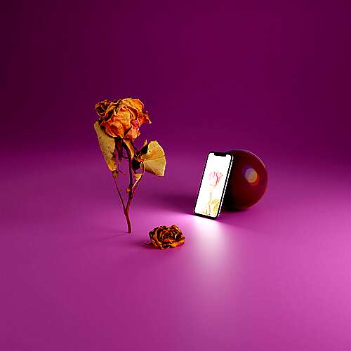 Nowhere Left to Grow