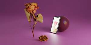 Nowhere Left to Grow