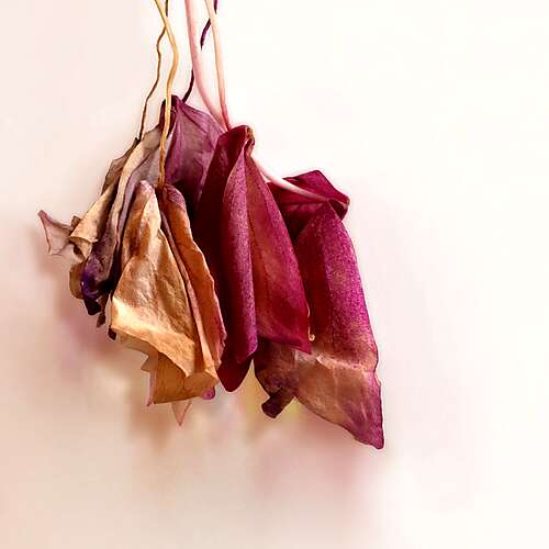 Closer for Comforting