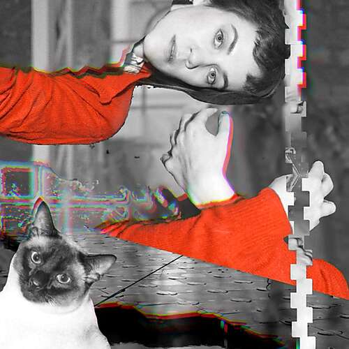 Silver Fir (Grow Fins Re-edit)