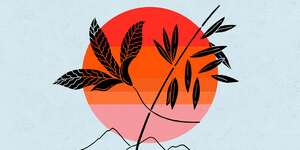 Back To Mine: Tycho (DJ Mix)