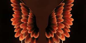 Wings / Back To Africa