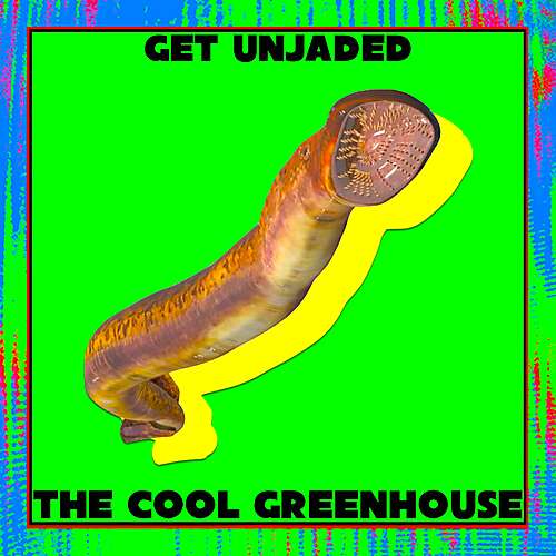 Get Unjaded