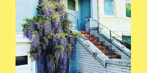 They Only Wanted Your Soul