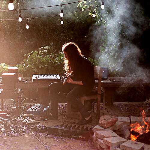 Let The Forest Take Over