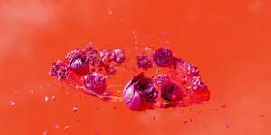 The Living World's Demands