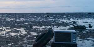 The Whole World's Going Crazy (For Love)