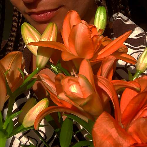 No Butterflies, No Nothing