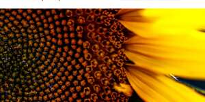 Depth Perception EP (The Remixes, Pt. 1)