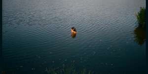 I had wanted to hold