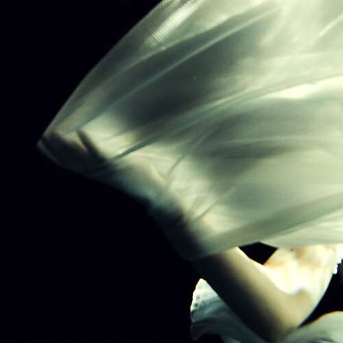 Heaven, Wait (Acoustic)