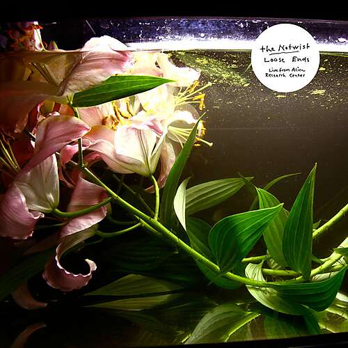 Loose Ends (Live from Alien Research Center)