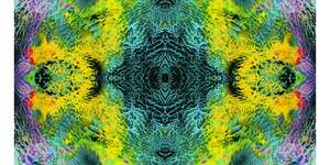 Mama Is a Shining Star