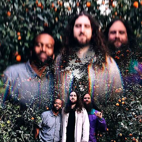 Ojai Orange Grove Concert