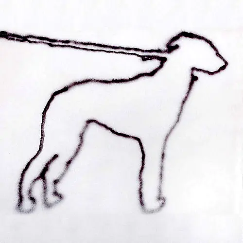 JONAH YANO - portrait of a dog | LP | Experimental, Indie