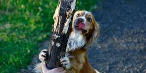 In Spite of Everything