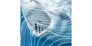 From The jaws Of Victory