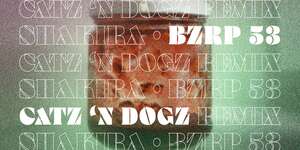Shakira - Bzrp 53 (Catz 'N Dogz Remix)