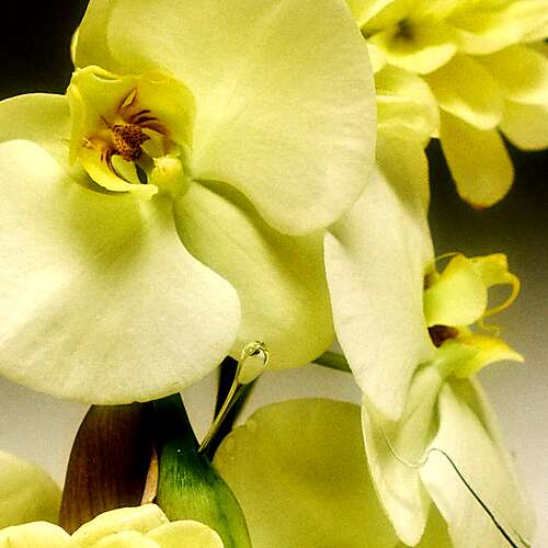 It Holds And It Holds