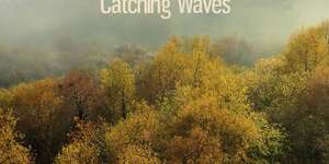 Catching Waves