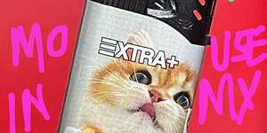 There's a Mouse in My House