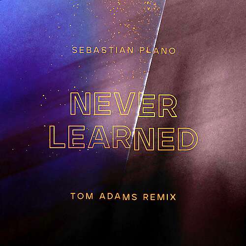 Never Learned (Vocal Rework)
