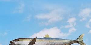 Watching The Credits