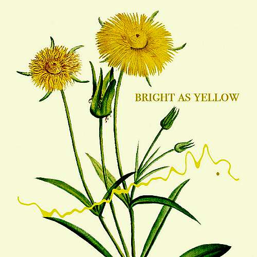 Bright as Yellow