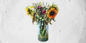 The Delicate Nature (UKG Remix)