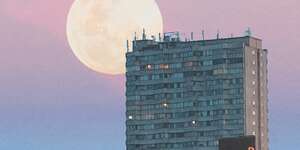 Howling at a Concrete Moon