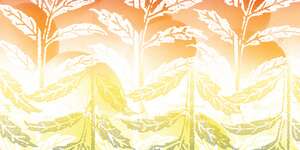 Salty Road Dogs Victory Anthem