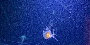 Entropy / Unravelling