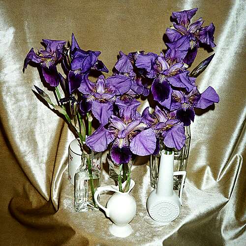 Wanna Take You There