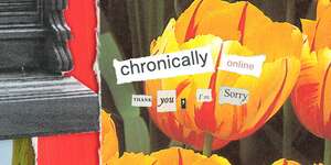 Chronically Online