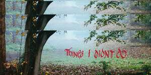 Things I Didn’t Do