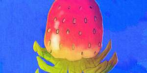 Strawberries In Rain