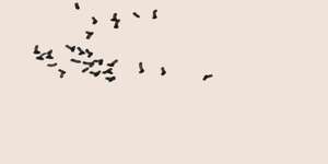 cycli infini (excerpt)