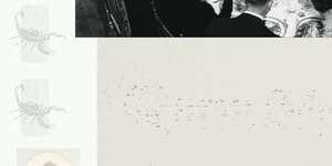 Year of the Scorpion