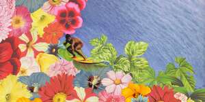 Swimming in the Lotus Garden