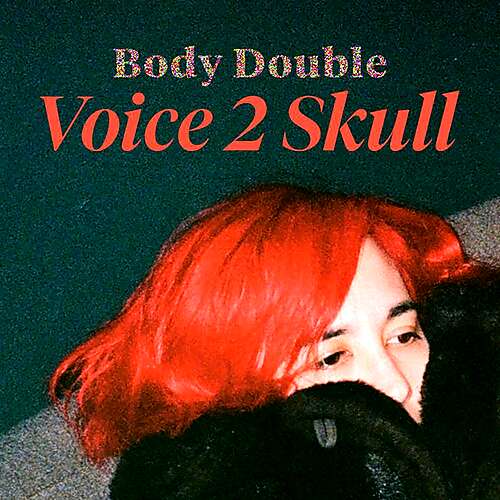 Voice 2 Skull