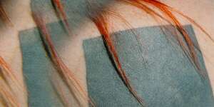 Settle & Fly / O(O)O