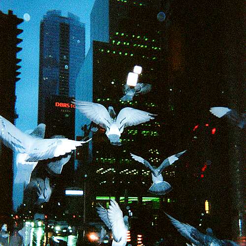 Rise Again / Couches Killing Me